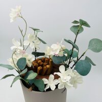 Blüte der Erinnerung Eiche - Edition Additivum