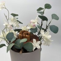 Blüte der Erinnerung Eiche - Edition Additivum